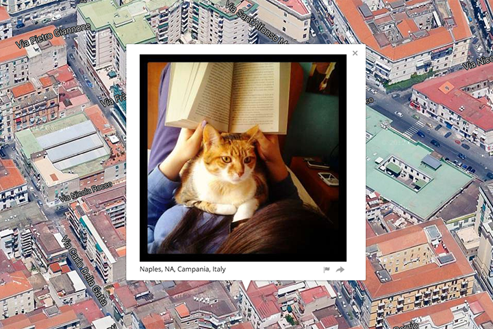Mapping public photos of cats using their metadata